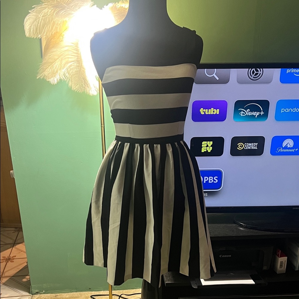 Bar III Black and White Striped Mini Dress